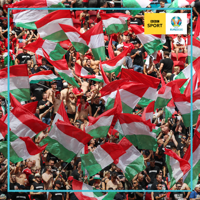 现场的匈牙利球迷。